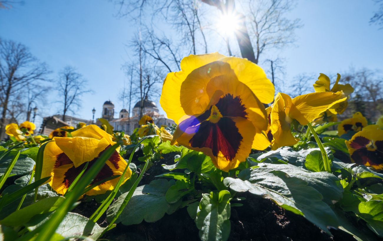 Фото новини