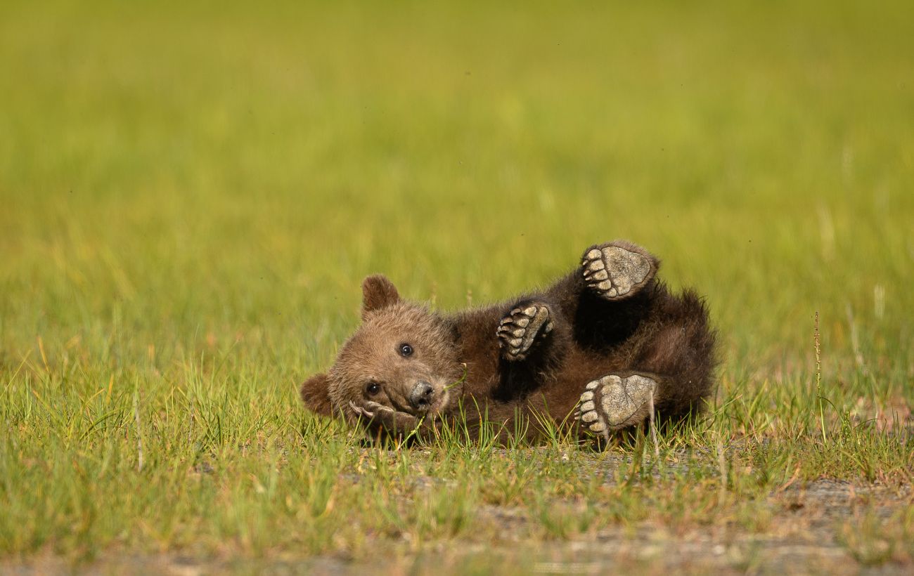 Фото новини