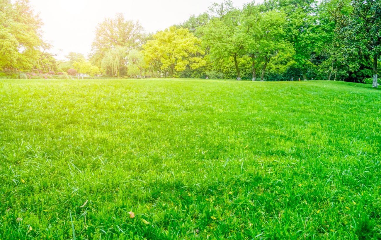 Фото новини