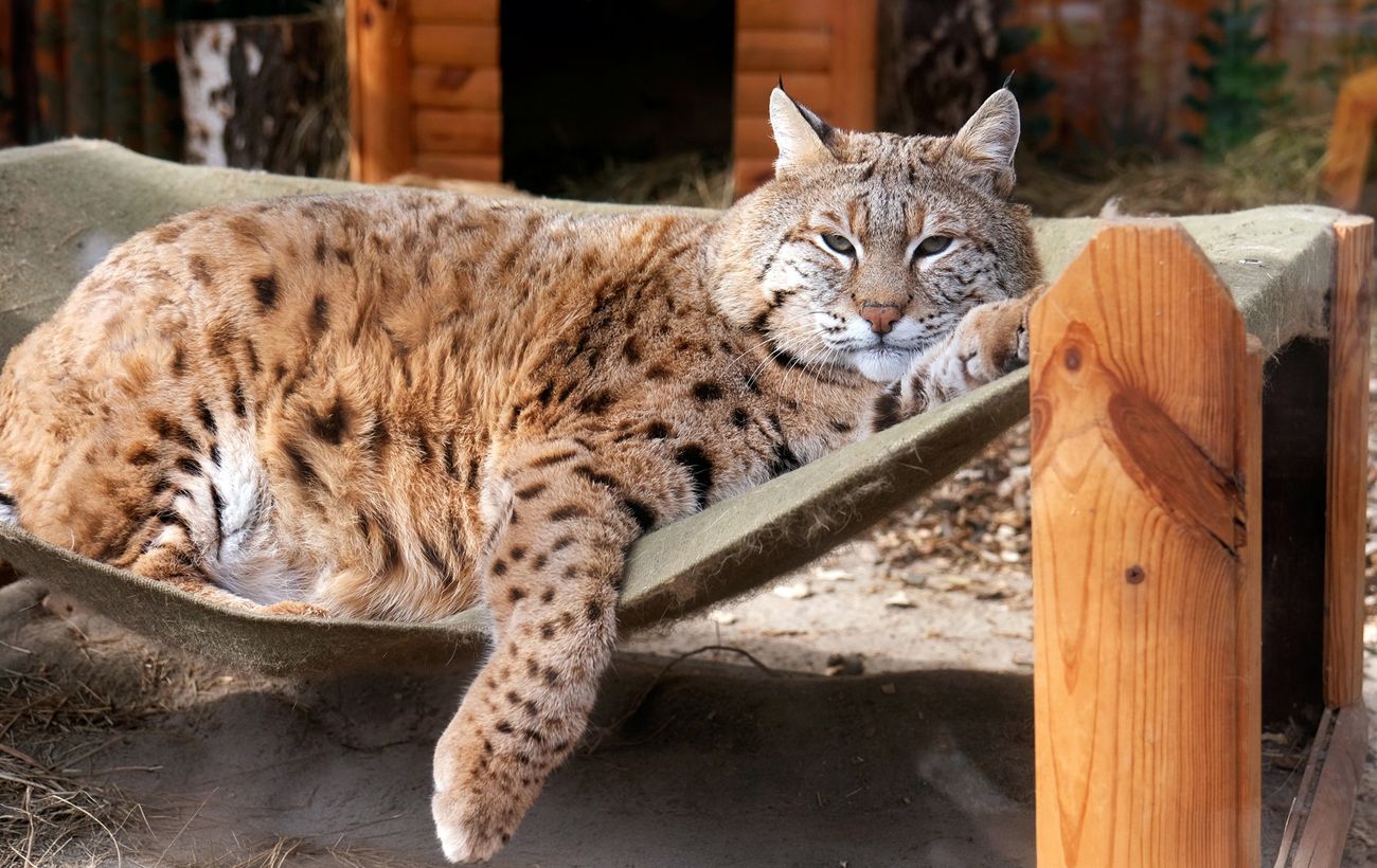 Фото новини