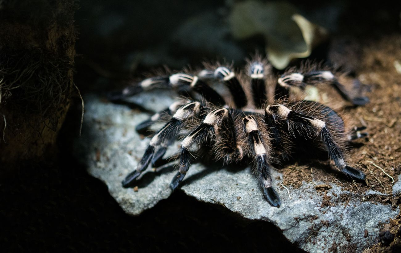 Фото новини