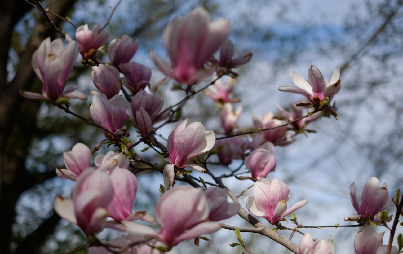 Фото новини