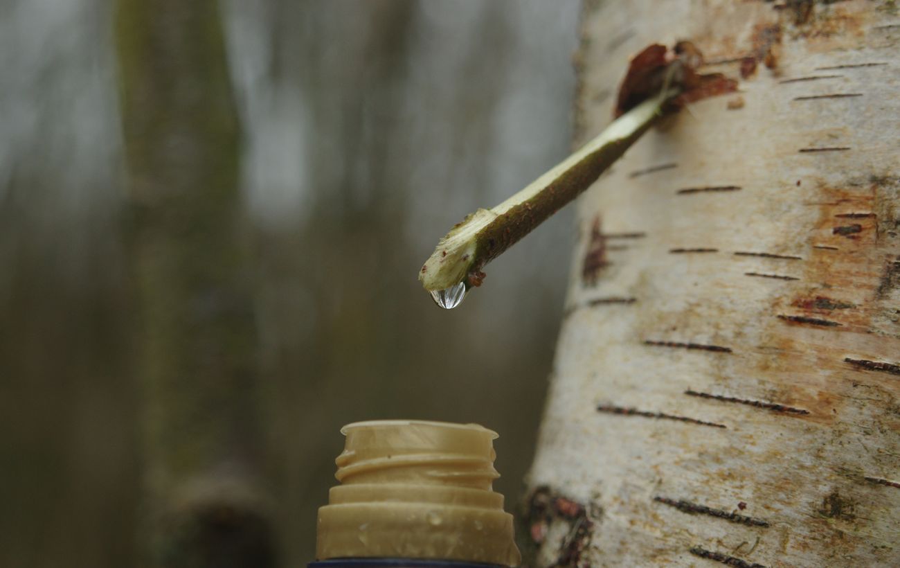 Фото новини