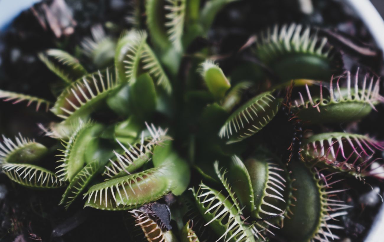 Фото новини