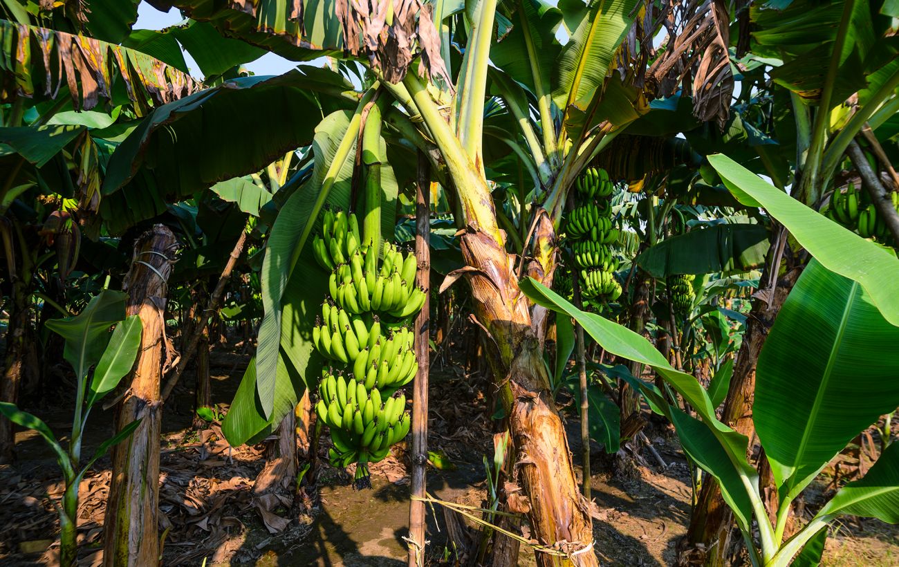 Фото новини