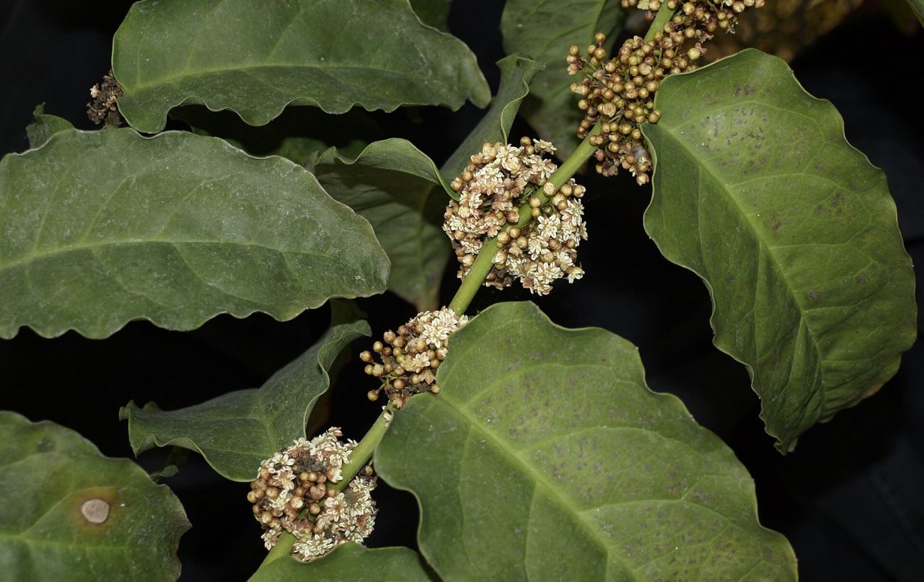 Фото новини