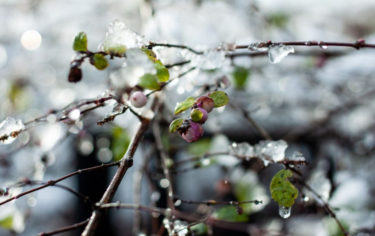 Фото новини