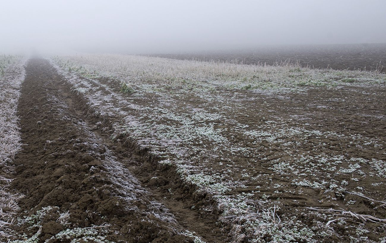 Фото новини