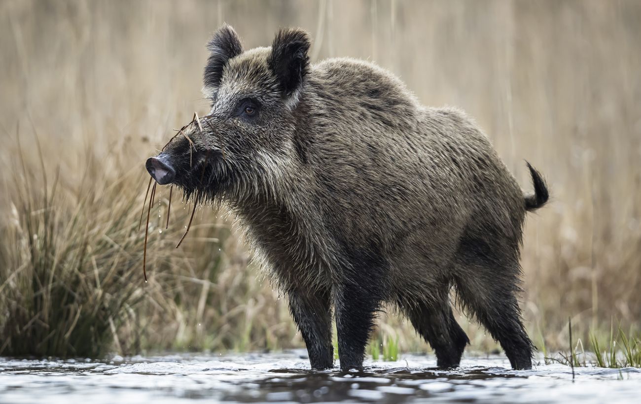 Фото новини