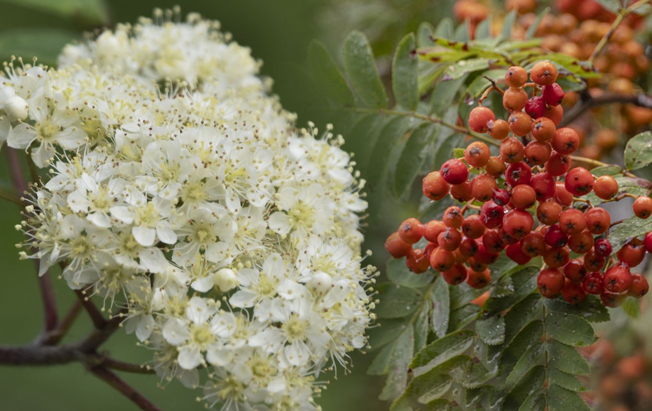 Фото новини