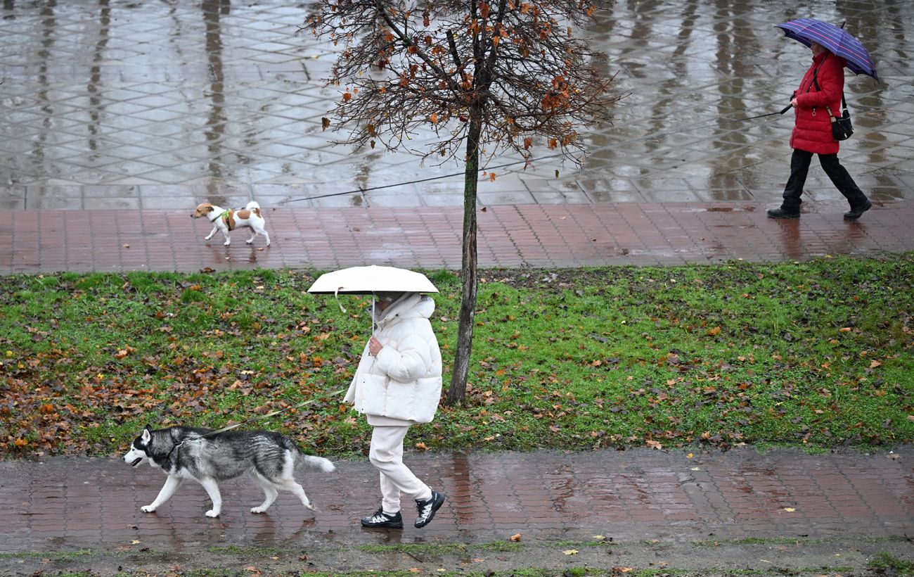 Фото новини