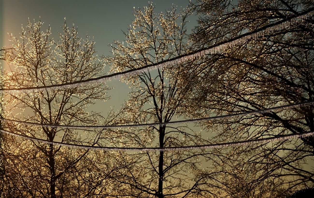 Фото новини