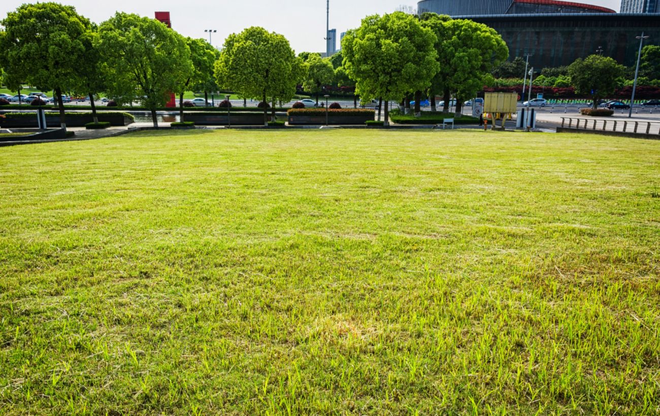 Фото новини