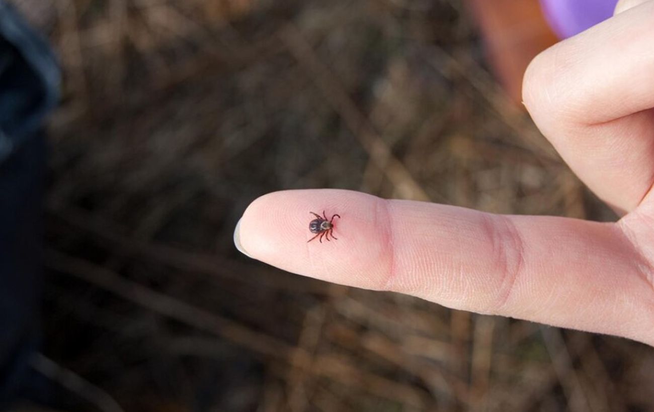 Фото новини