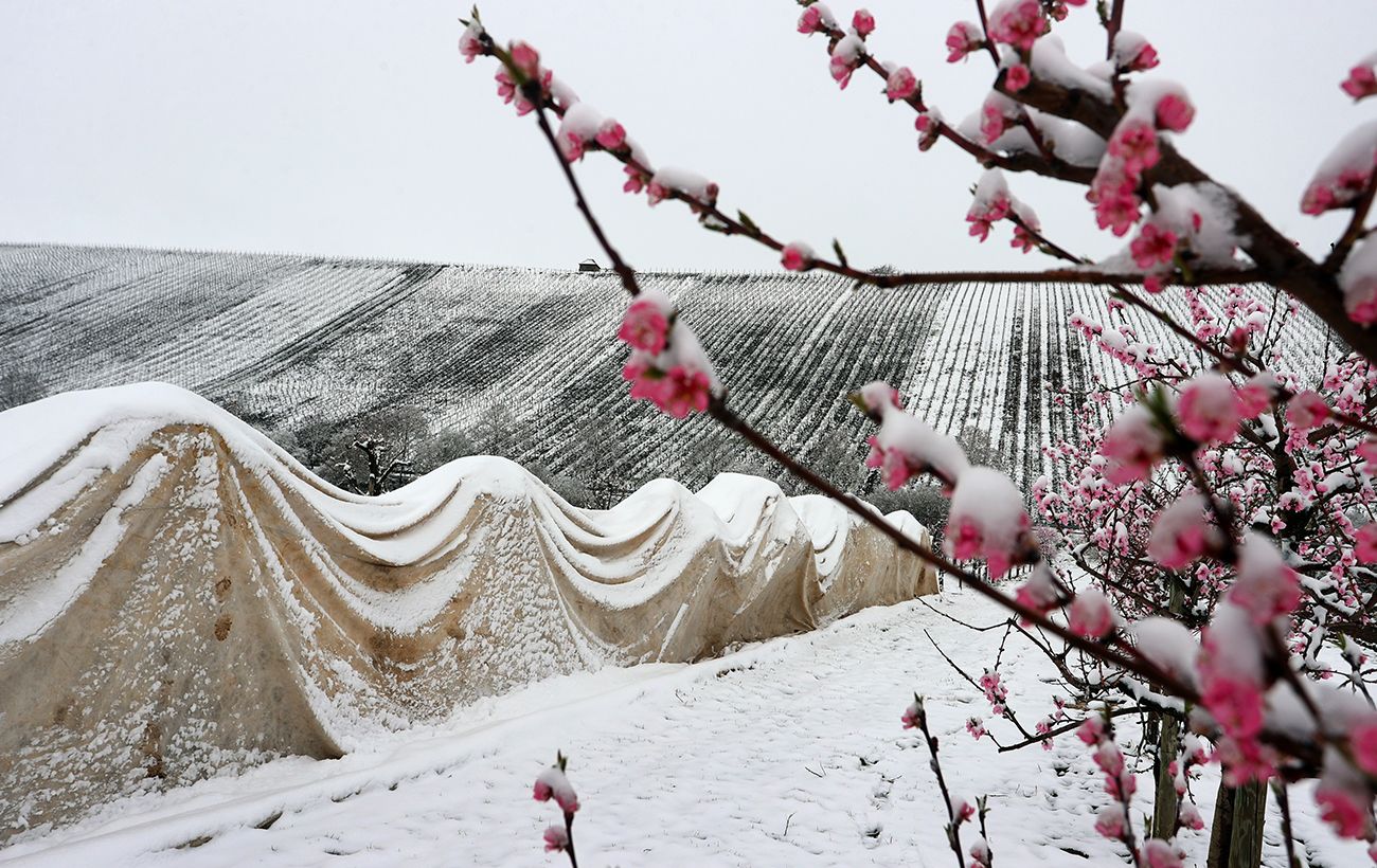 Фото новини