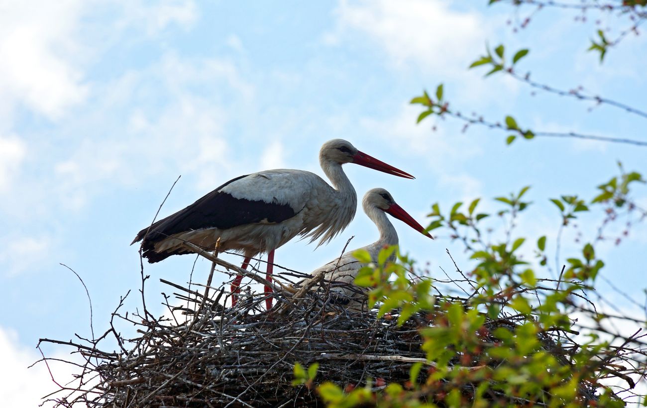 Фото новини