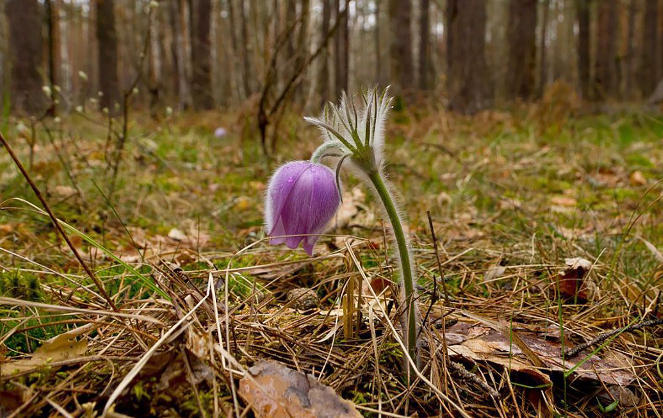 Фото новини