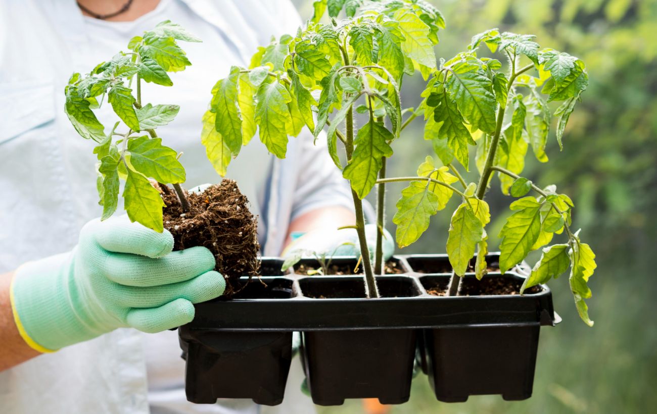 Фото новини