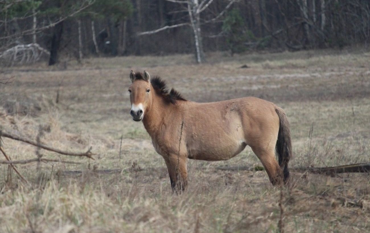 Фото новини