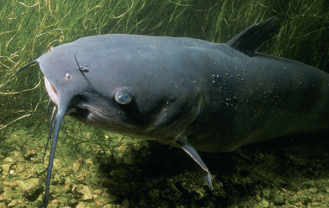 Фото новини