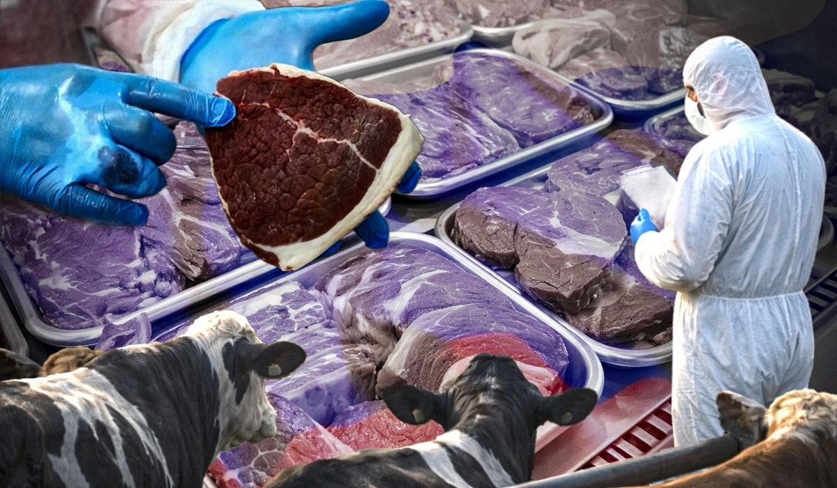 Фото новини