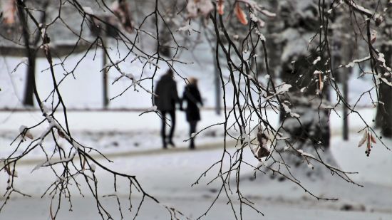 Прогноз погоди на 15 грудня: де в Україні буде сніг та ожеледиця