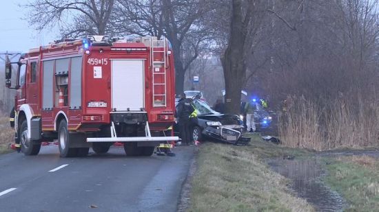 Авто врізалося в дерево: у Польщі в ДТП загинули троє чоловіків з України (фото)