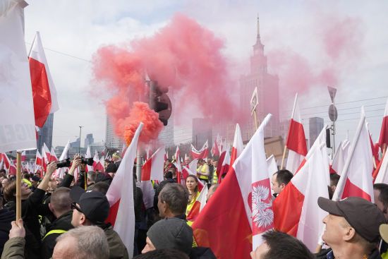 Польські фермери протестуватимуть по всій країні: названа причина