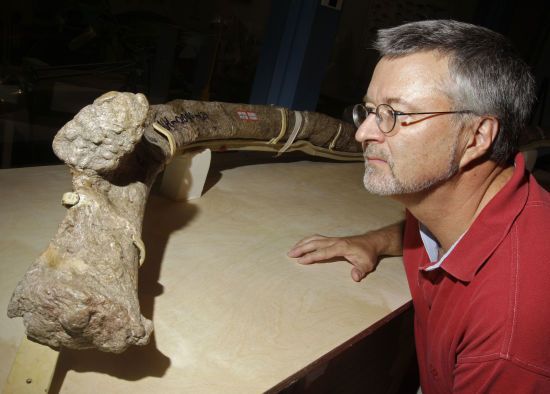 Вчені виявили останки одного з найбільших динозаврів в історії