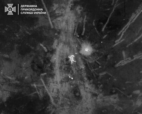 В Чорнобильській зоні від російської міни загинув червонокнижний кінь (фото)
