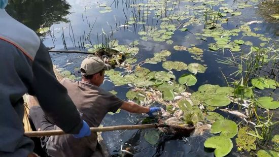 “Все живе померло”: що відомо про отруєння росіянами Десни та Сейму