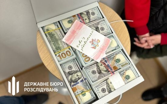 Корупція на долоні: посадовиця позичила у 12-річного сина майже 3 млн гривень